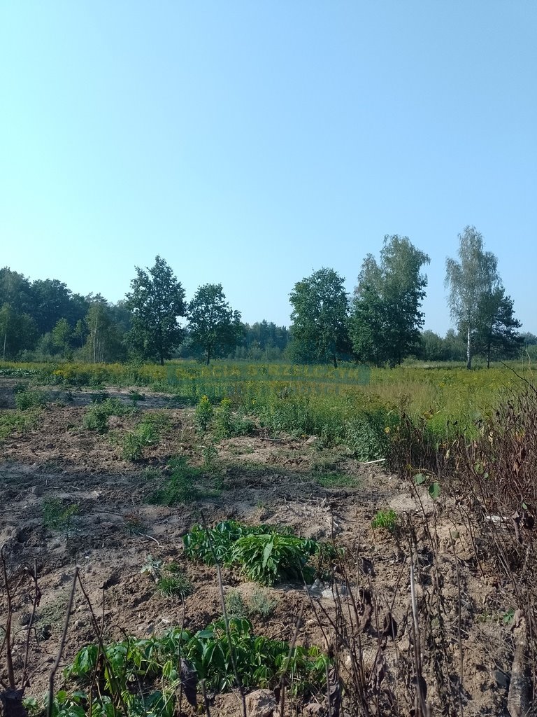 Działka budowlana na sprzedaż Izabelin-Dziekanówek  800m2 Foto 2