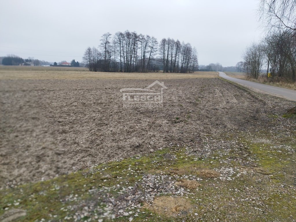 Działka budowlana na sprzedaż Lisówek  3 500m2 Foto 1