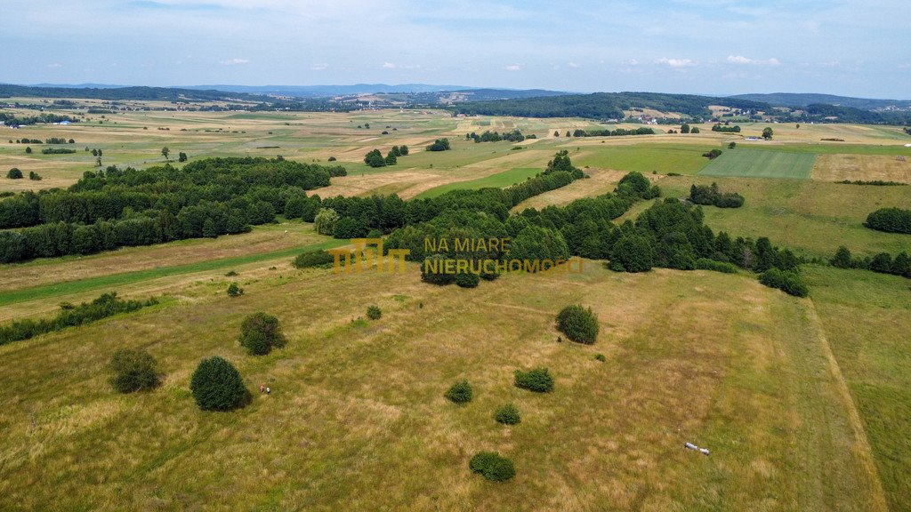 Działka rolna na sprzedaż Łężyny  1 500m2 Foto 4