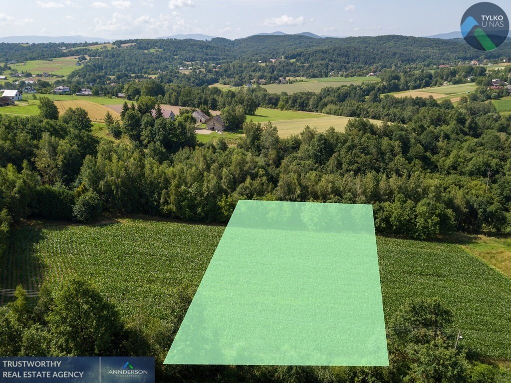 Działka budowlana na sprzedaż Stadniki  3 000m2 Foto 3