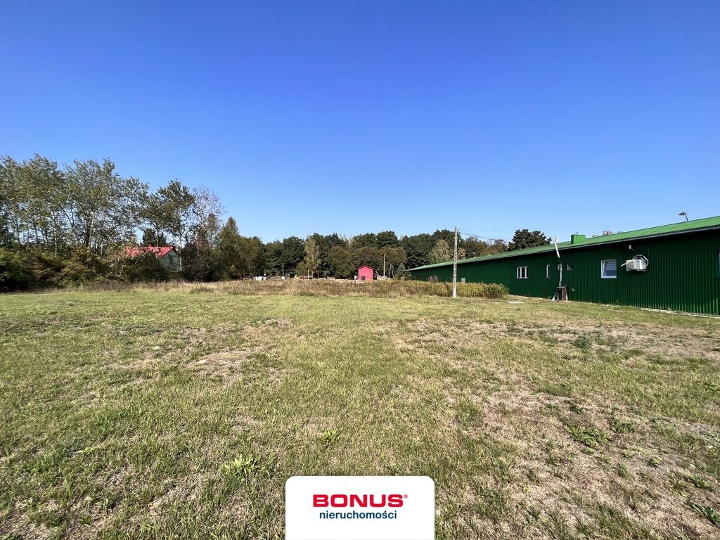 Działka na wynajem 60 arów z mediami i dojazdem asfaltowym Dąbrówki  6 000m2 Foto 1