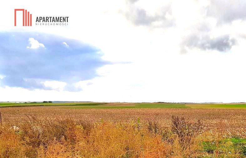 Działka inwestycyjna 15 300 m2 przy drodze E 25 Stopka  15 300m2 Foto 1