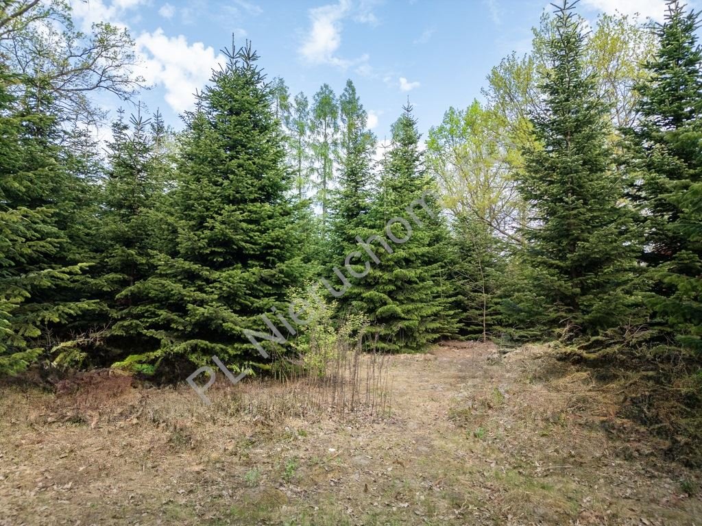 Działka 1400 m² w Milanówku z mediami i dostępem do drogi Milanówek  1 400m2 Foto 1