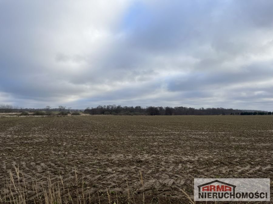 Działka rekreacyjna na sprzedaż Sibin  3 000m2 Foto 4