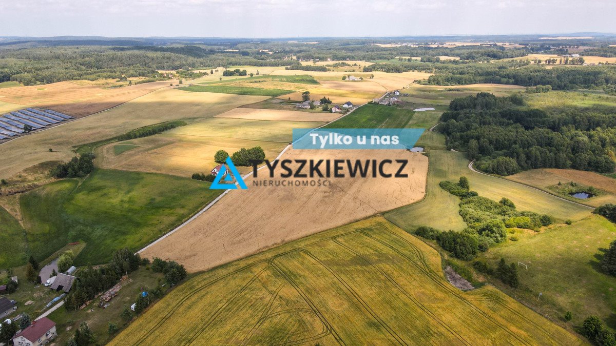 Działka rolna na sprzedaż Szczodrowo  38 300m2 Foto 1