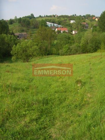 Działka 5900 m² w Golkowicach z mediami i pięknym widokiem Golkowice  5 900m2 Foto 1