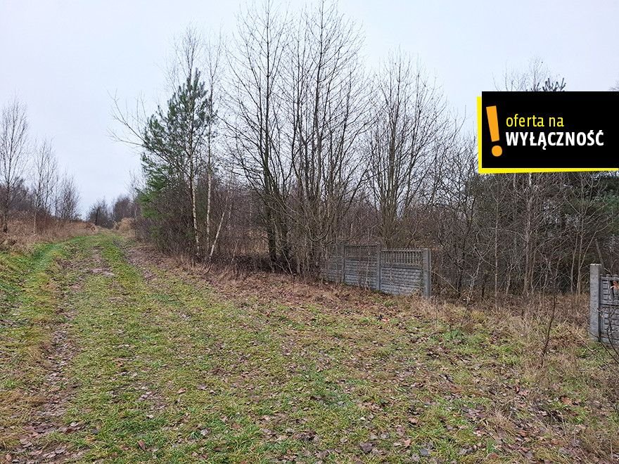 Działka bud.-rolna z fundamentami, 11 200 m², Czerwona Górka Czerwona Górka  11 200m2 Foto 1