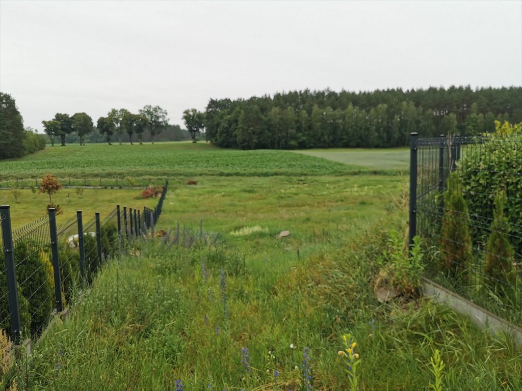 Działka budowlana na sprzedaż Międzybłocie, Międzybłocie  3 008m2 Foto 15