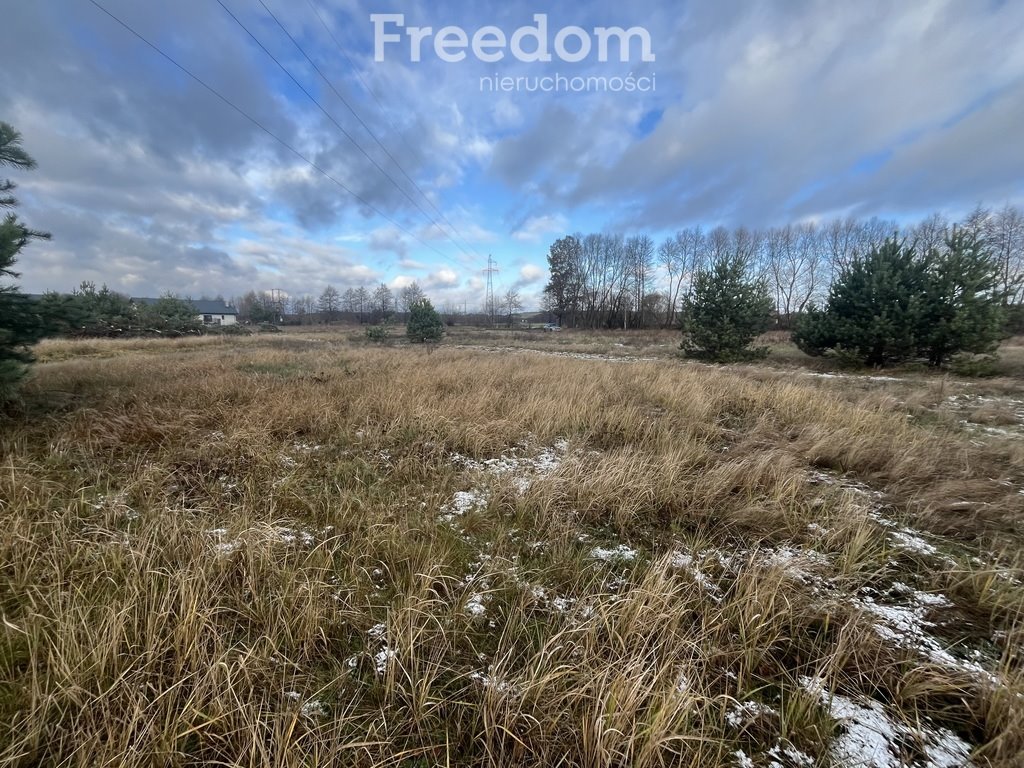 Działka budowlana na sprzedaż Zamek Bierzgłowski, Sosnowa  2 000m2 Foto 14