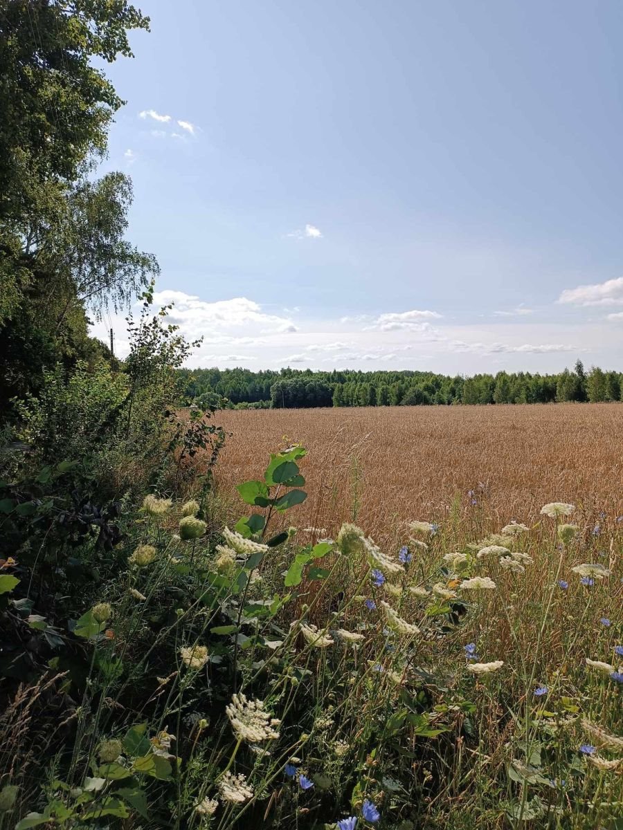 Działka gospodarstwo rolne na sprzedaż Małynka  6 002m2 Foto 3