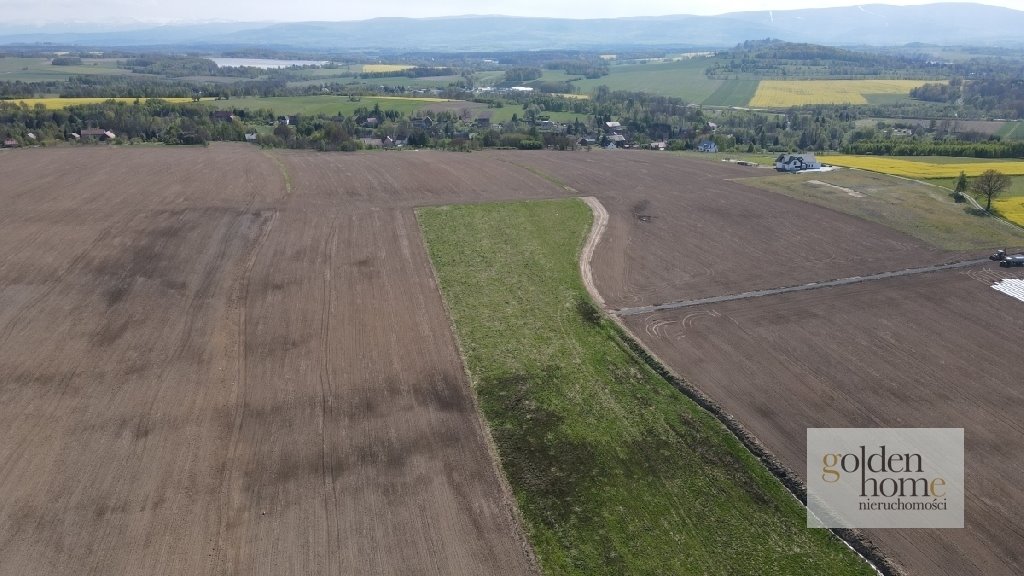 Działka budowlana na sprzedaż Gryfów Śląski, Krzewie Wielkie  1 277m2 Foto 2