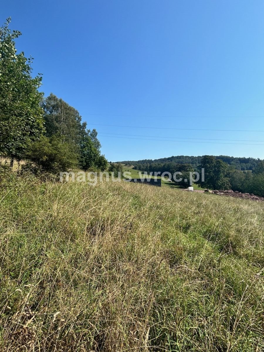 Działka budowlana na sprzedaż Głuszyca, okolice Gdańskiej  1 519m2 Foto 3