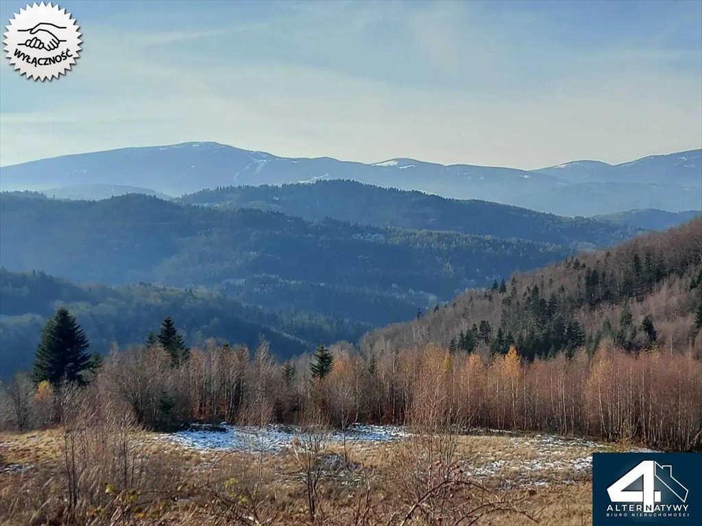 Działka budowlana na sprzedaż Przyborów, Moczarki 491  1 379m2 Foto 6