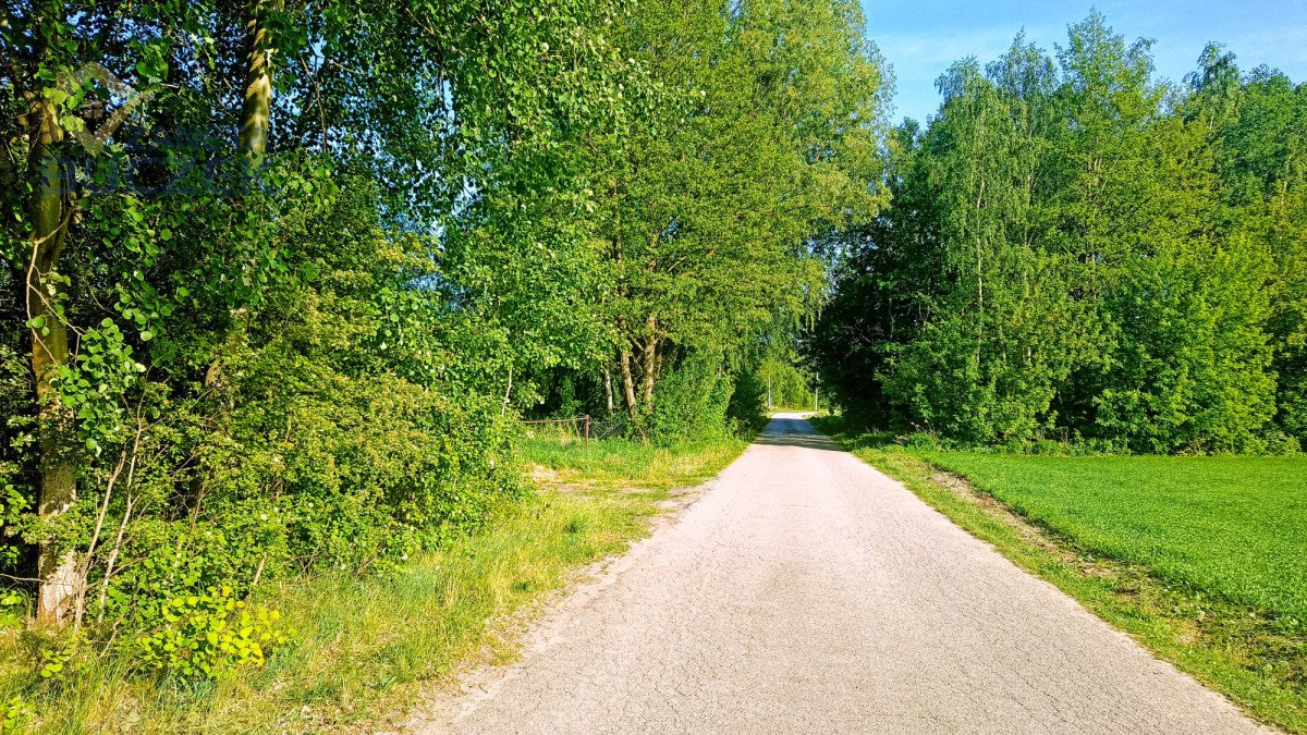 Działka budowlana na sprzedaż Adamowa Góra  1 100m2 Foto 1