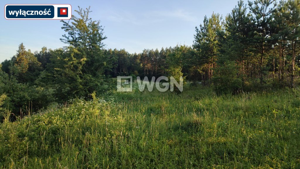 Działka budowlana na sprzedaż Oracze  1 500m2 Foto 16