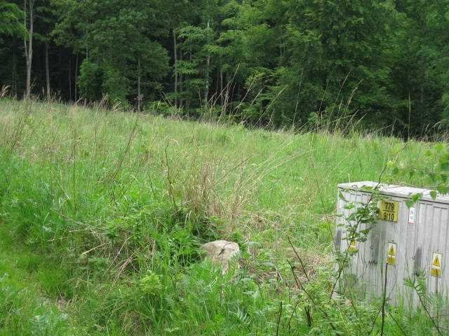 Działka budowlana na sprzedaż Kuropatnik, Kuropatnik  3 350m2 Foto 6