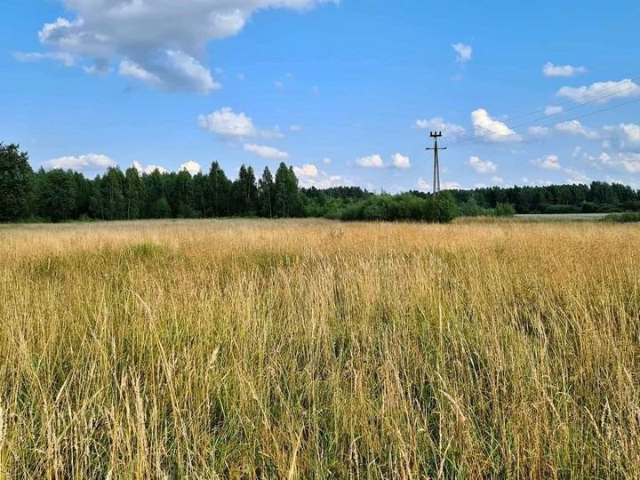 Działka budowlana na sprzedaż Nowosady, Dubińska Ferma  4 200m2 Foto 1