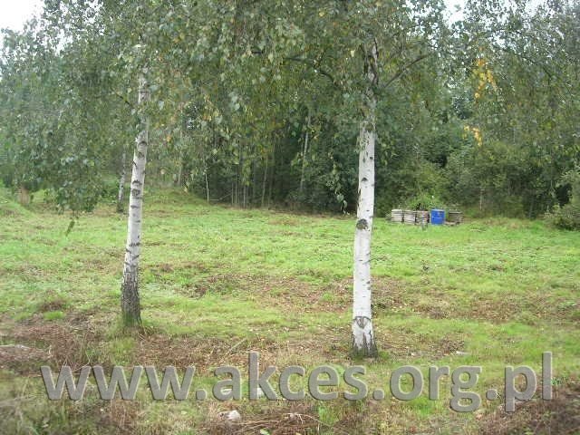 Działka 2663 m² pod rezydencję lub pensjonat w Nowe Polesie Nowe Polesie  2 663m2 Foto 1