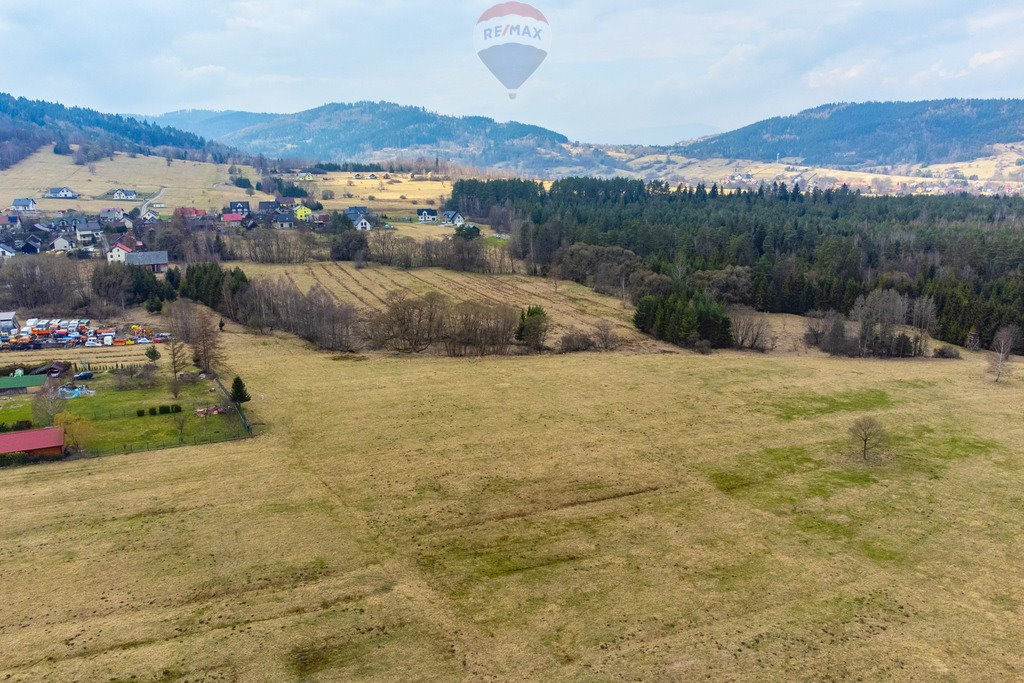 Działka rolna na sprzedaż Sopotnia Wielka  3 098m2 Foto 8