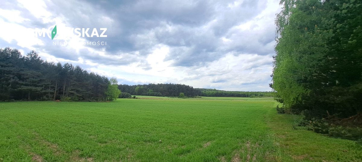 Działka rekreacyjna na sprzedaż Ogorzelnik  14 525m2 Foto 6