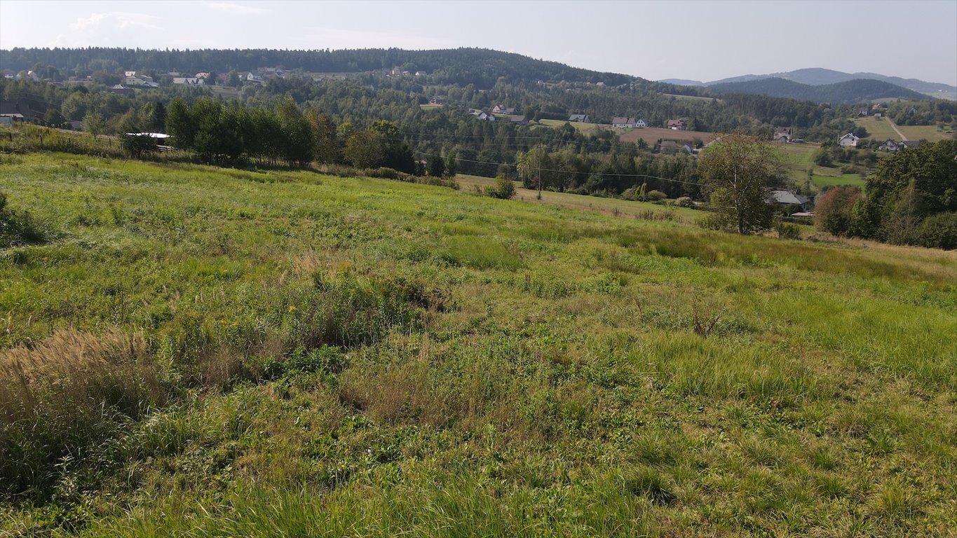 Działka budowlana na sprzedaż Chełmiec, Rdziostów - Marcinkowice  1 200m2 Foto 10