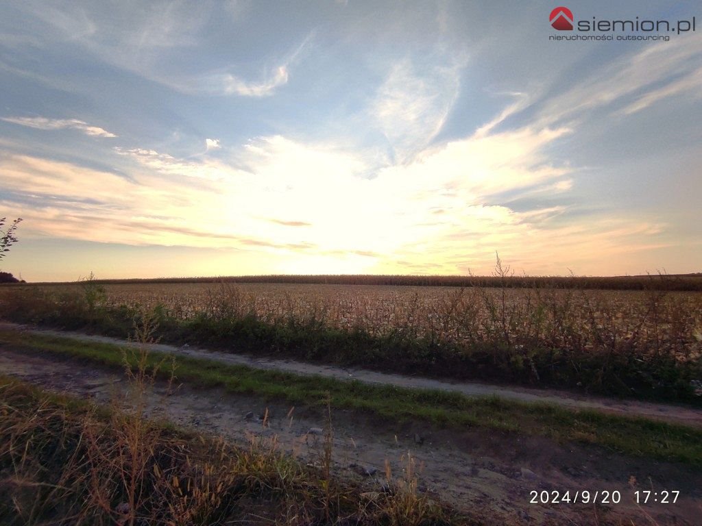 Działka budowlana na sprzedaż Siemianowice Śląskie, Przełajka  706m2 Foto 6