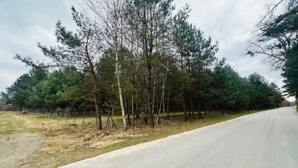 Działka 3400 m² z warunkami zabudowy las cisza polecam! Fałków, Leśna  3 400m2 Foto 1