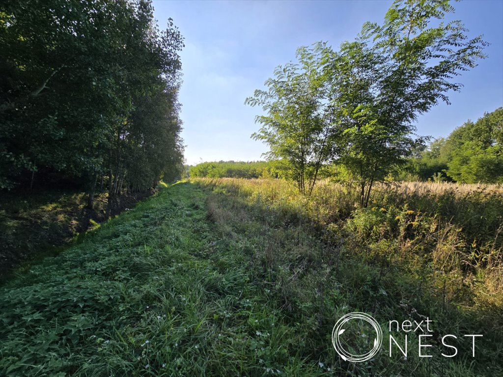 Działka budowlana na sprzedaż Rusiec, Turkusowa  1 050m2 Foto 5