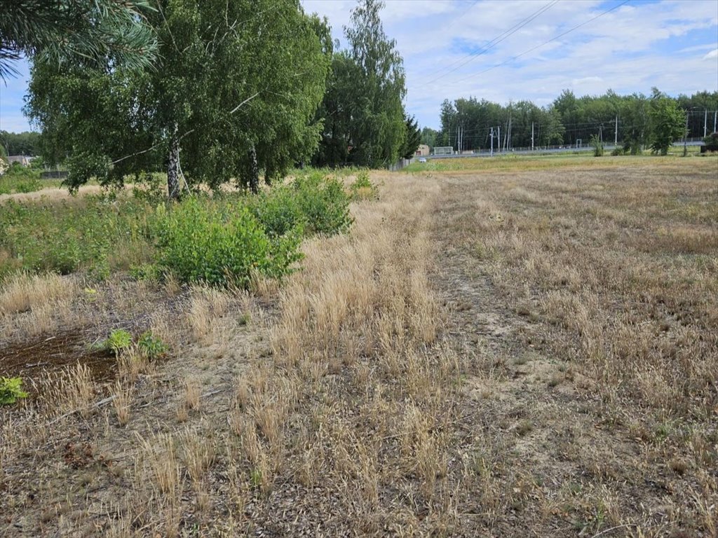 Działka budowlana na sprzedaż Michalczew  3 468m2 Foto 5