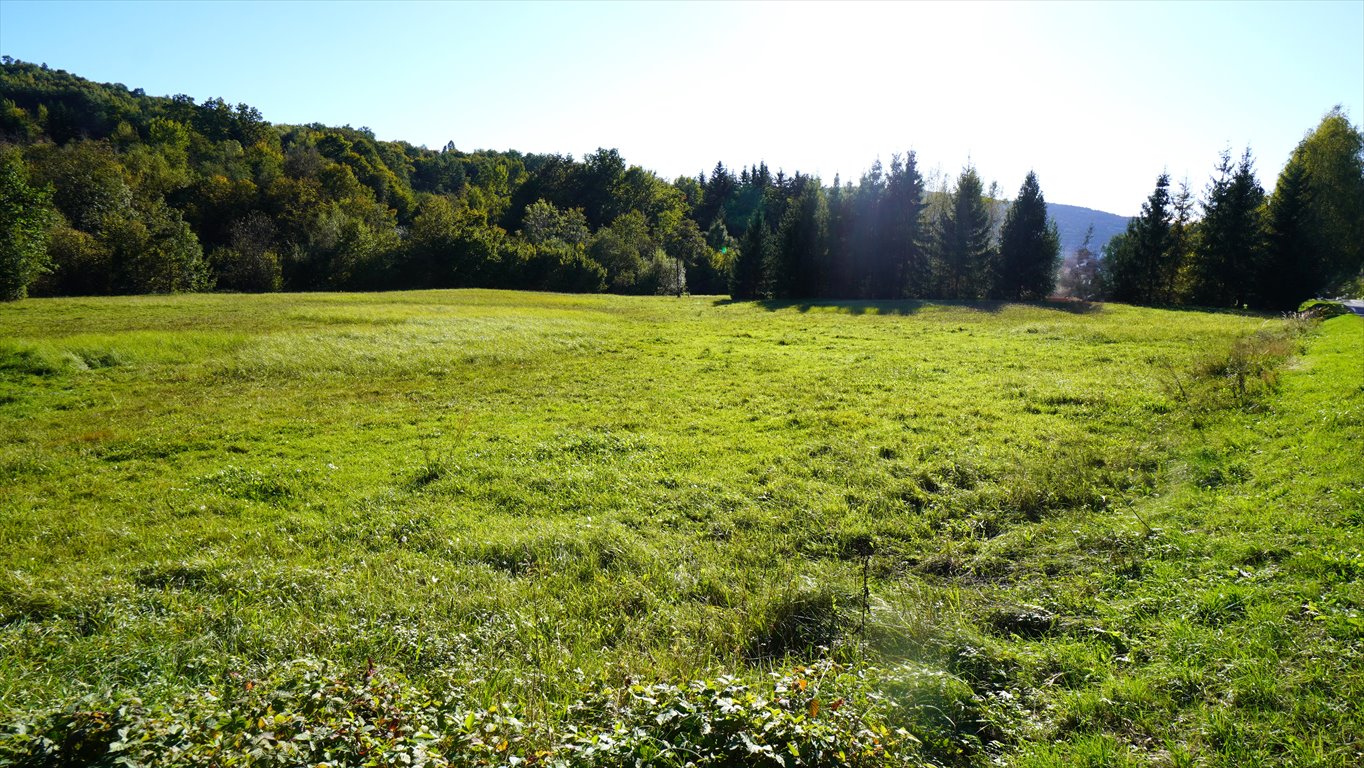 Działka budowlana na sprzedaż Sękowa  8 200m2 Foto 5