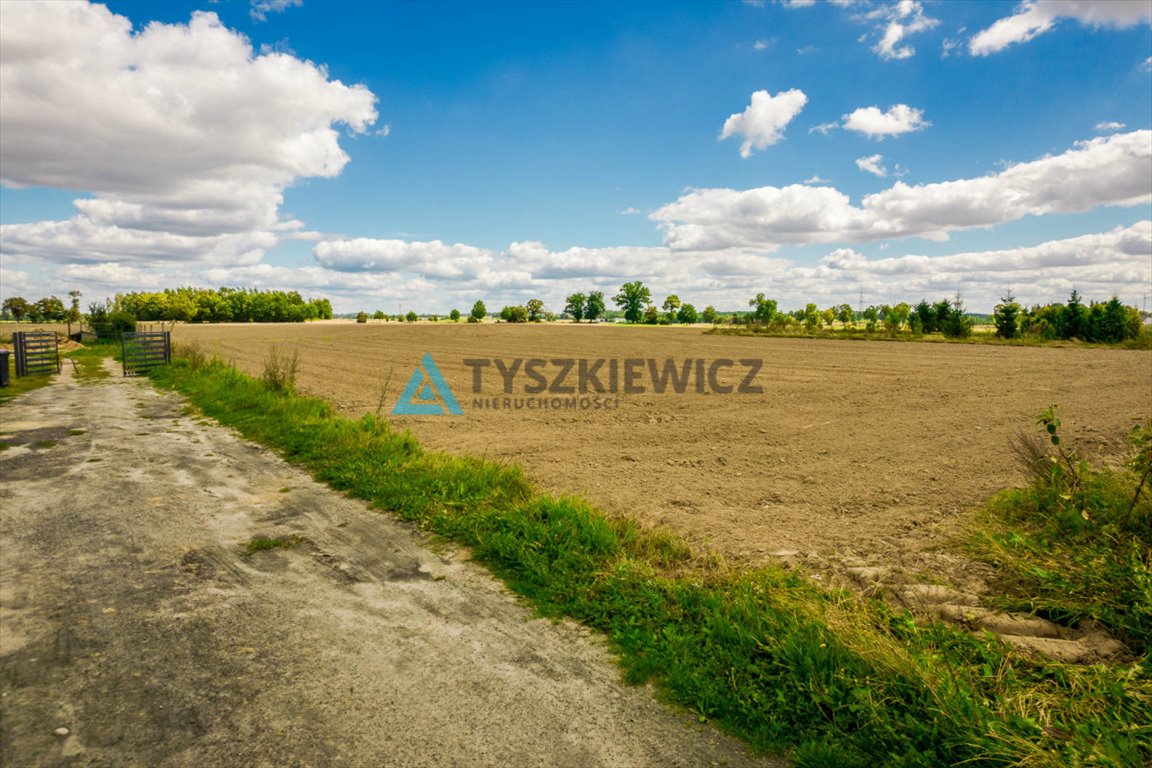 Działka budowlana na sprzedaż Krojanty, Sielska  3 329m2 Foto 5