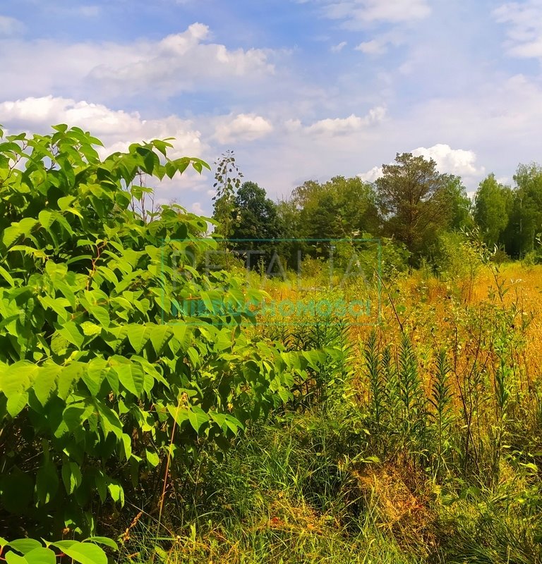 Dom na sprzedaż Kajetany  150m2 Foto 7