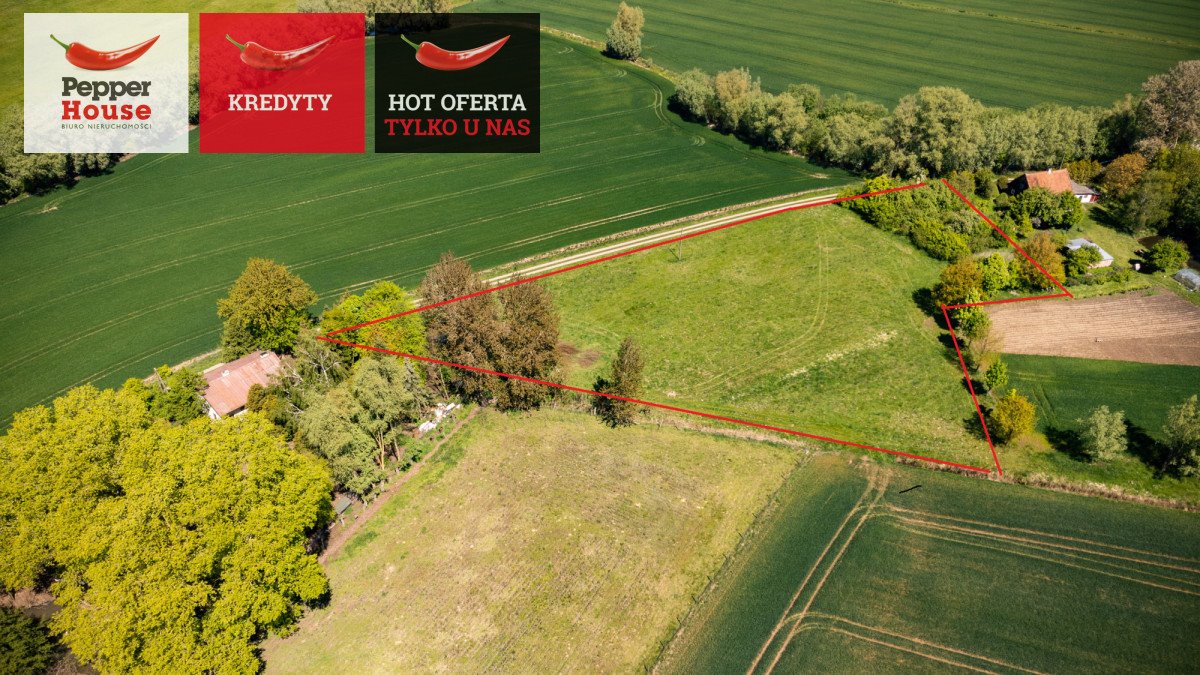 Działka rolna 7066 m² w spokojnej okolicy nad Bałtykiem Świerznica  7 066m2 Foto 1