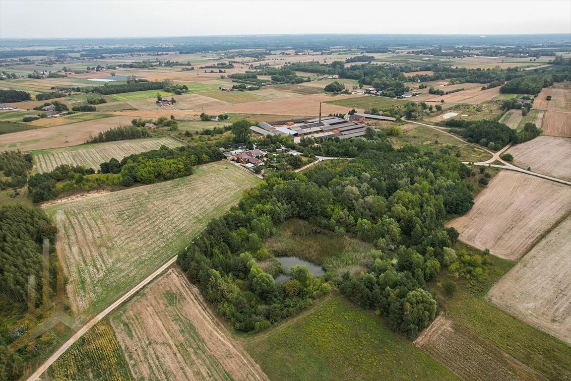 Sprzedam dużą działkę inwestycyjną 13 ha z mediami i obiektami Konstantynów  77 819m2 Foto 1