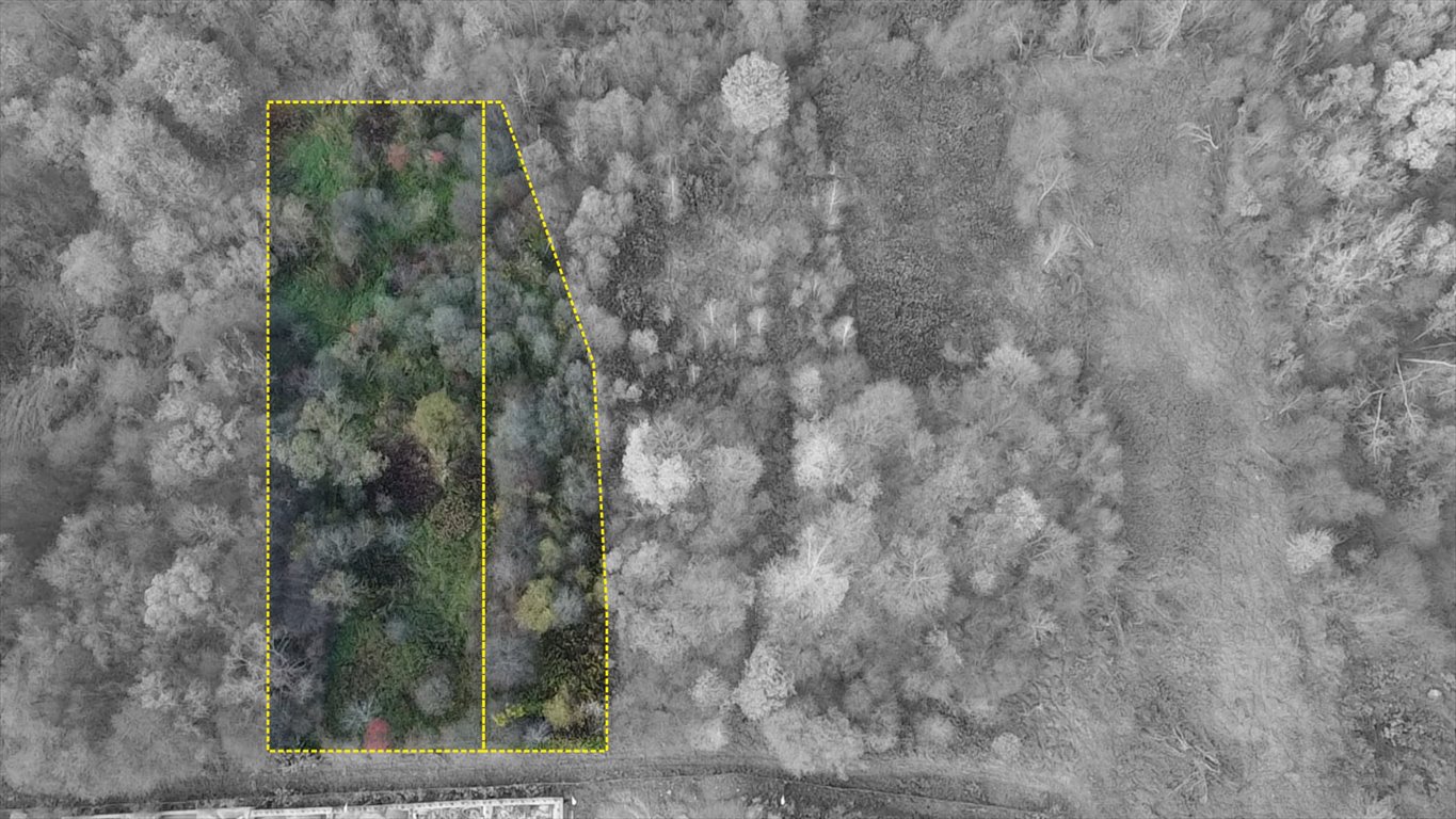 Działka z widokiem na Biecz, las, media, 2181 m2 Korczyna  2 181m2 Foto 1