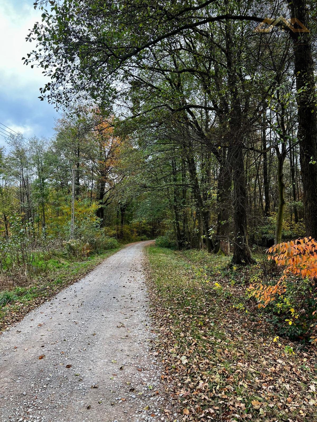 Działka budowlana na sprzedaż Biadoliny Radłowskie  6 800m2 Foto 2