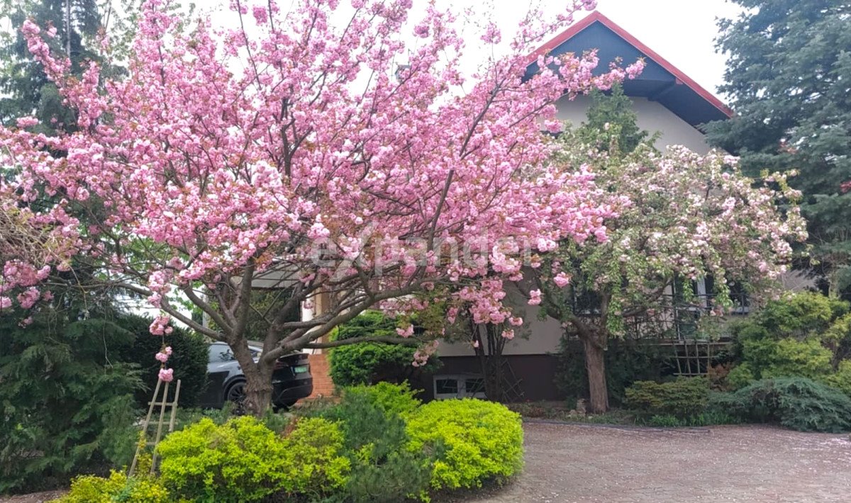 Dom na sprzedaż Aleksandria Druga  217m2 Foto 1