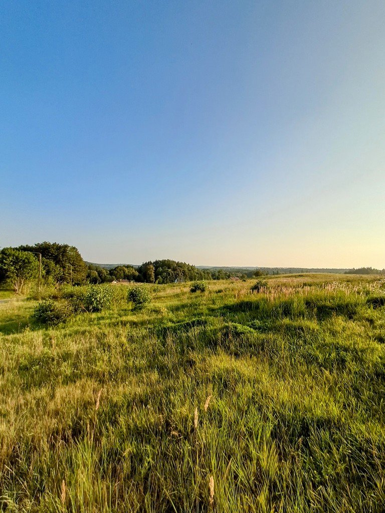 Działka przemysłowo-handlowa na sprzedaż Maks  7 280m2 Foto 2