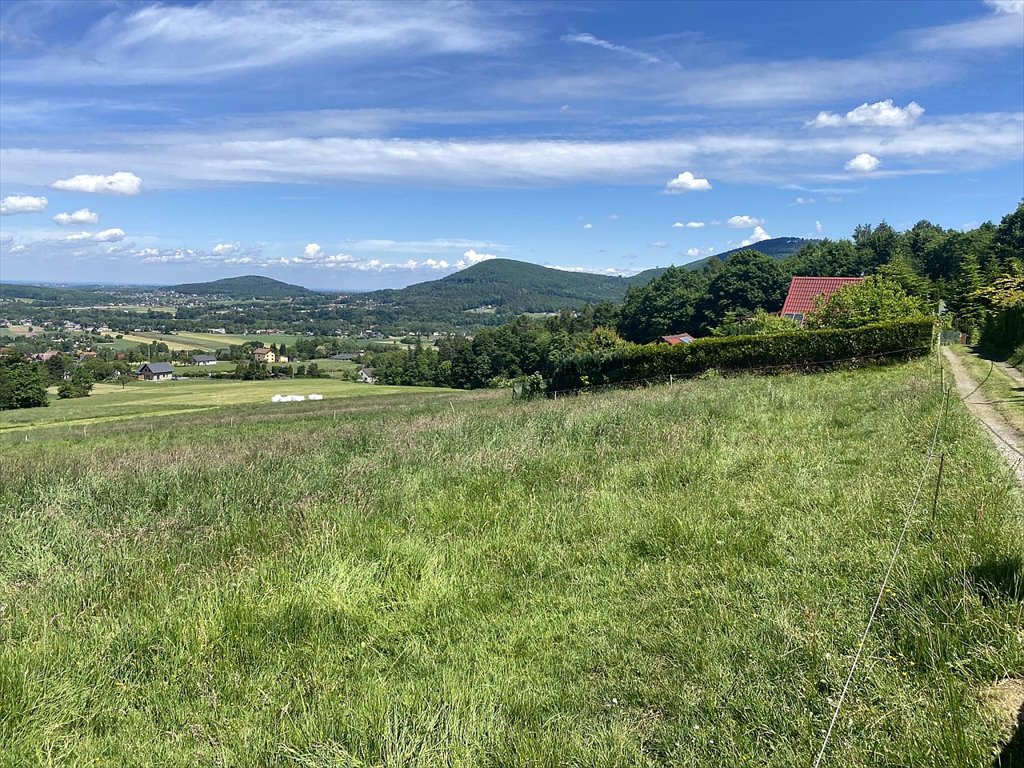 Działka budowlana na sprzedaż Ustroń, Lipowska  1 010m2 Foto 1