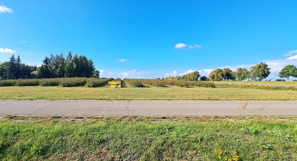 Działka budowlana na sprzedaż Tarło-Kolonia  1 827m2 Foto 4