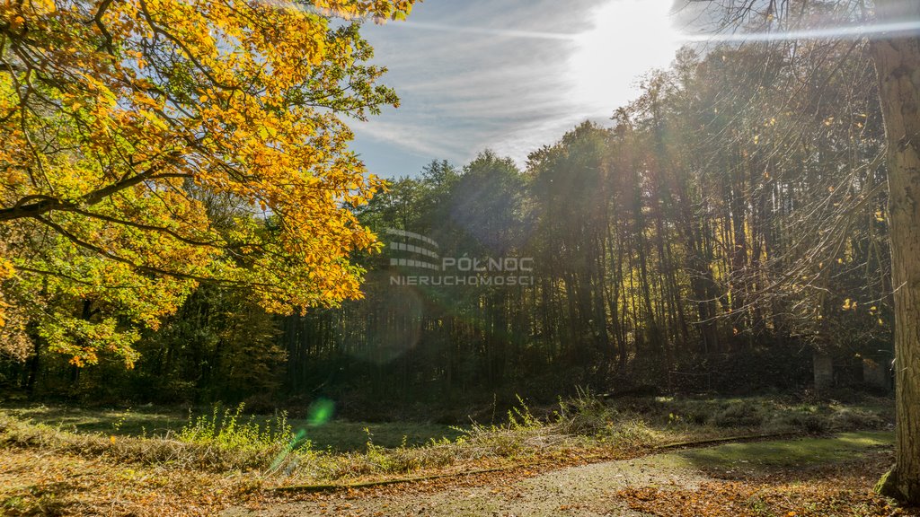 Działka budowlana na sprzedaż Polanica-Zdrój, Piastowska  7 998m2 Foto 14