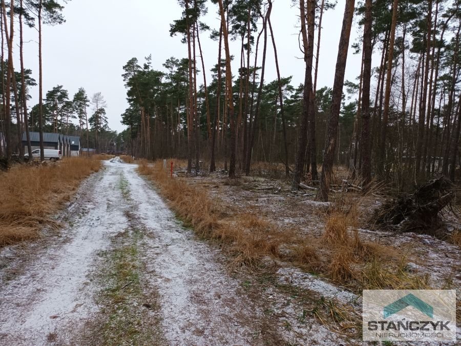 Działka budowlana na sprzedaż Dziwnów  1 130m2 Foto 6