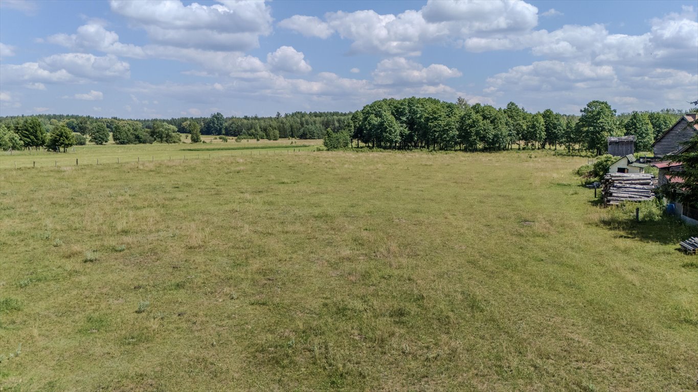 Działka budowlana na sprzedaż Kolonia  14 500m2 Foto 9