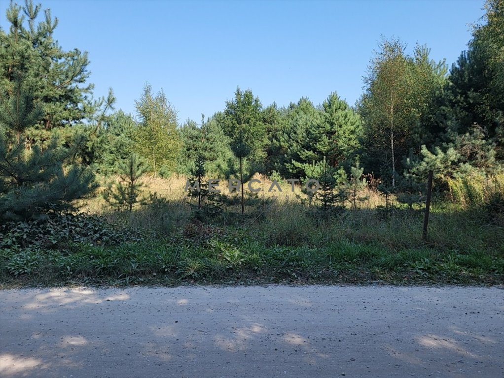 Działka budowlana na sprzedaż Marianów  3 000m2 Foto 9