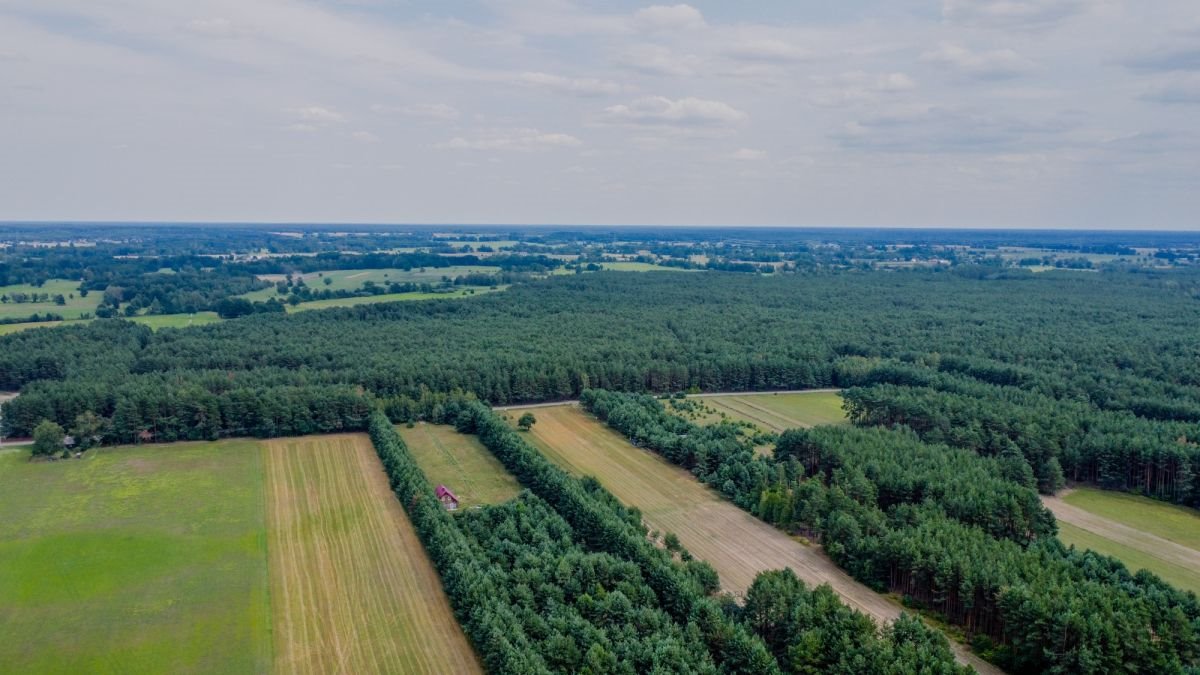 Działka budowlana na sprzedaż Michałowo  5 200m2 Foto 11