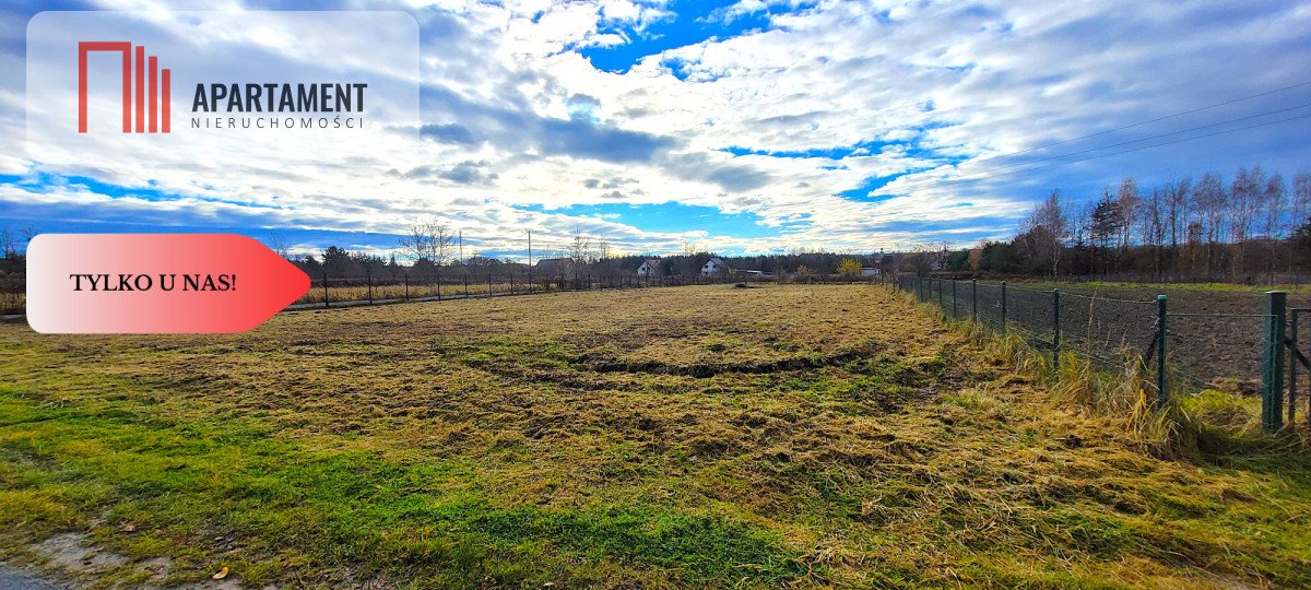 Działka budowlana na sprzedaż Zawonia  3 000m2 Foto 2