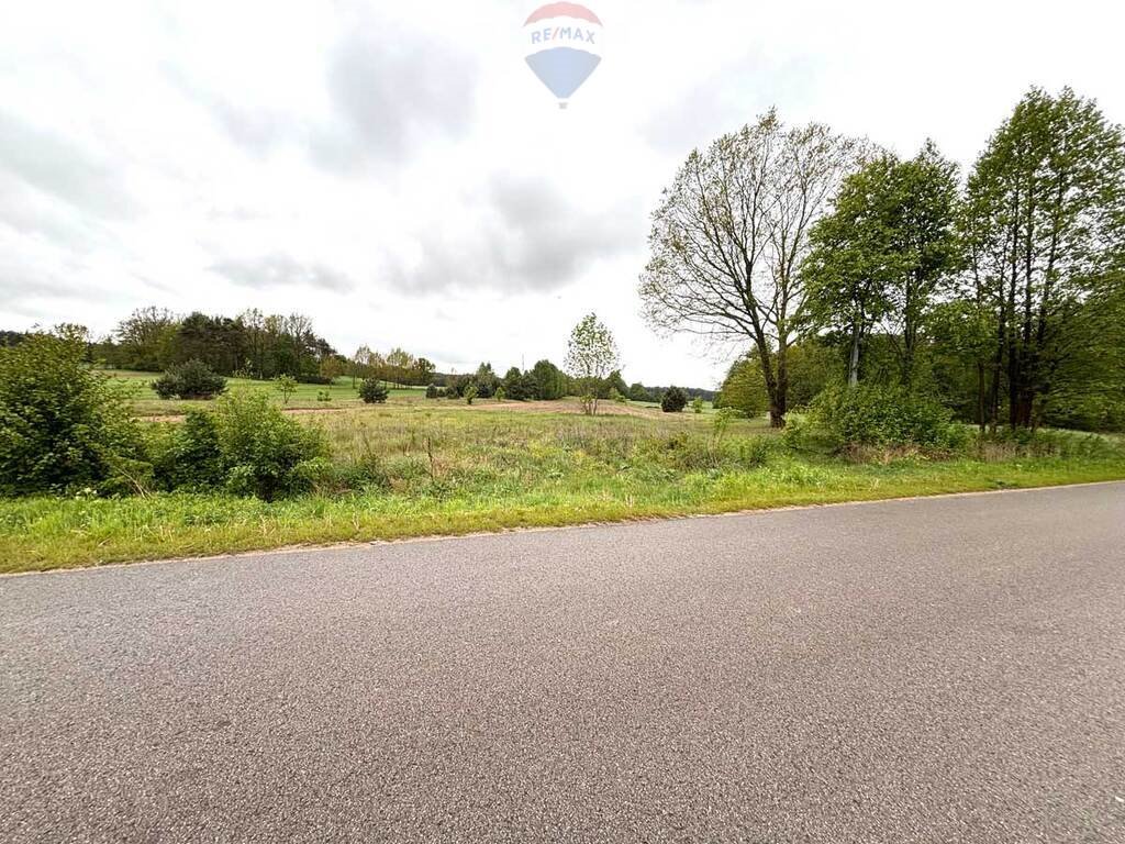 Atrakcyjna działka 2,06 ha pod zabudowę i usługi Rudnik Duży  20 648m2 Foto 1