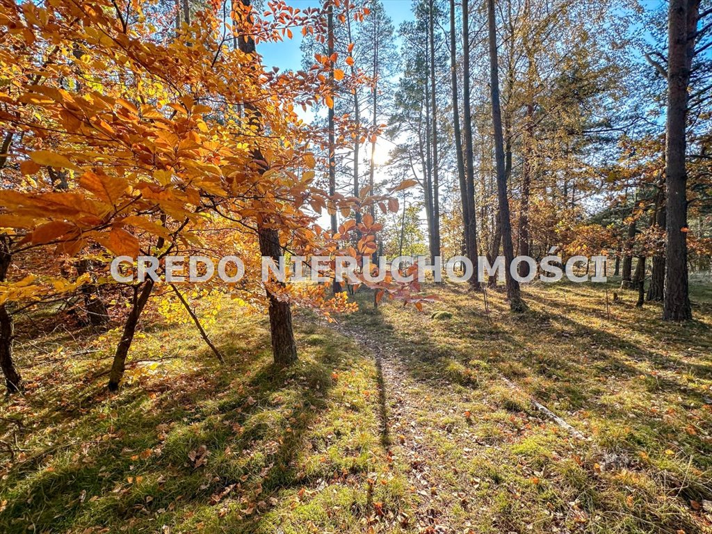 Działka budowlana na sprzedaż Pelnik  1 100m2 Foto 14