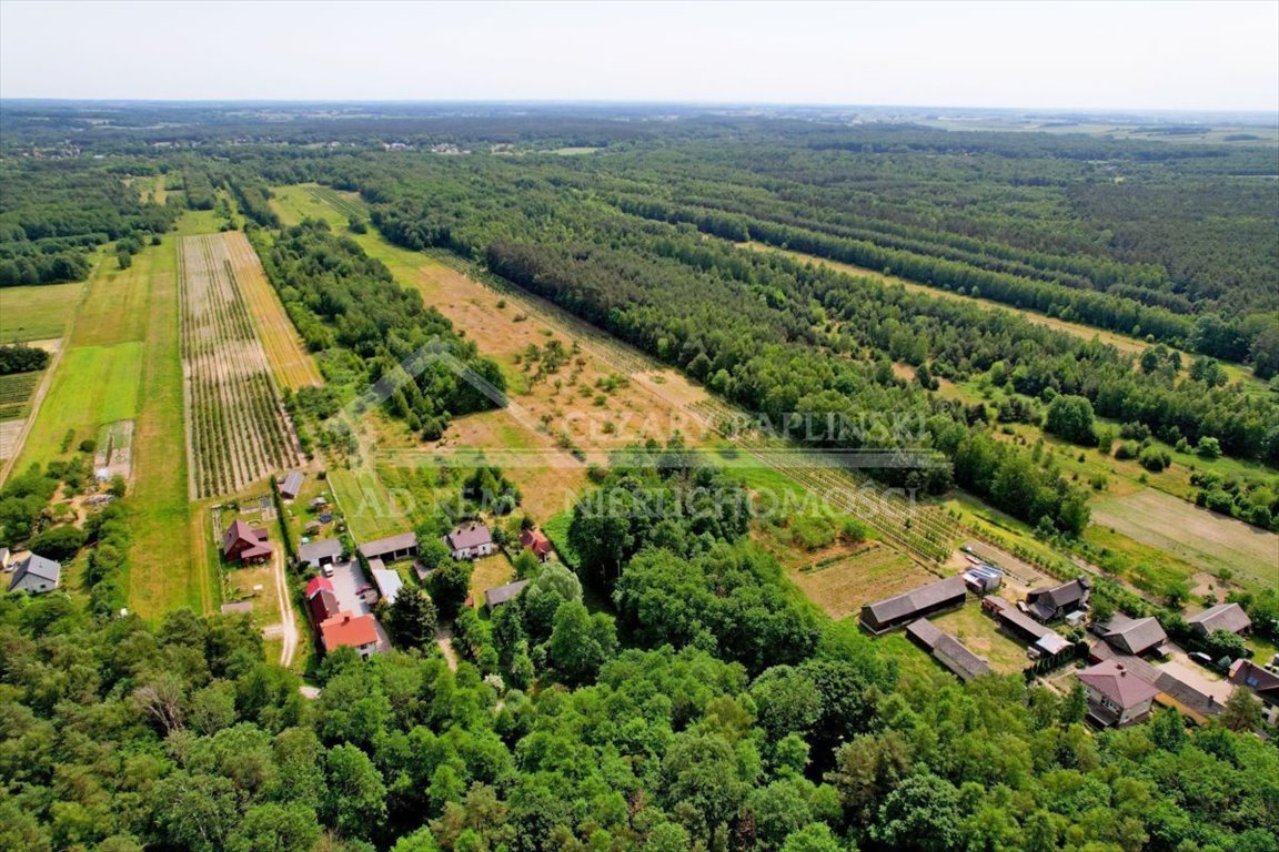 Działka budowlana na sprzedaż Uściąż-Kolonia, Uściąż Kolonia  23 000m2 Foto 13