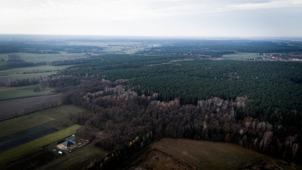 Działka rolna na sprzedaż Kotowice  3 400m2 Foto 13